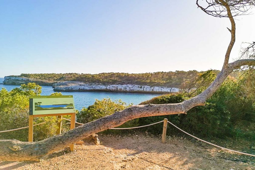 Naturpark_Mondrago-1024x683